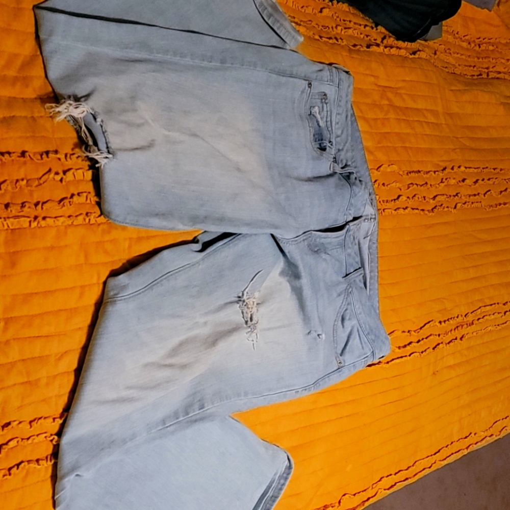 American eagle